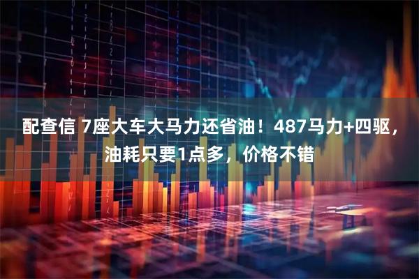 配查信 7座大车大马力还省油！487马力+四驱，油耗只要1点多，价格不错