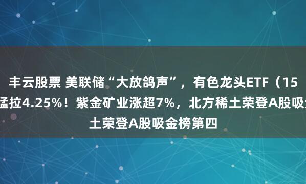 丰云股票 美联储“大放鸽声”，有色龙头ETF（159876）猛拉4.25%！紫金矿业涨超7%，北方稀土荣登A股吸金榜第四